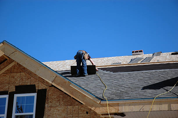 Best Storm Damage Roof Repair  in Dwight, IL