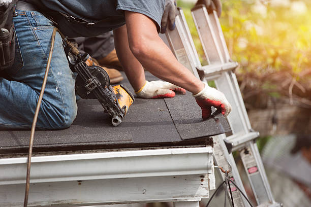 Professional Roofing Contractor in Dwight, IL